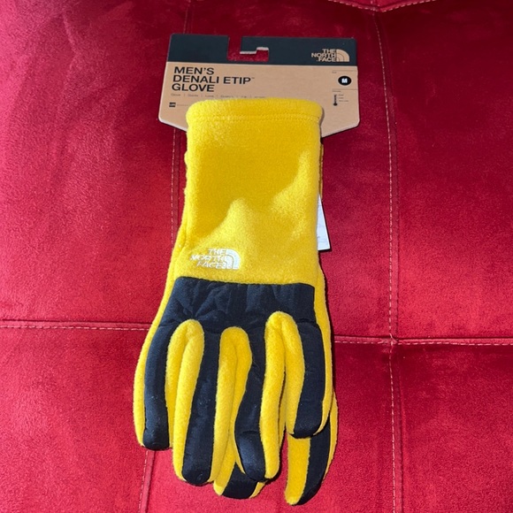 Tnf Mens Denali Thermal Etip Gloves 